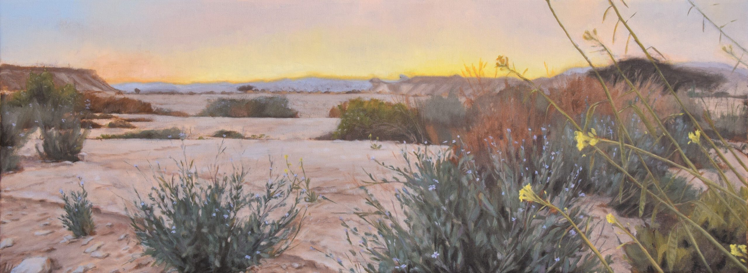 Sunset in the Wadi with Flowers/Hour of the Fairies