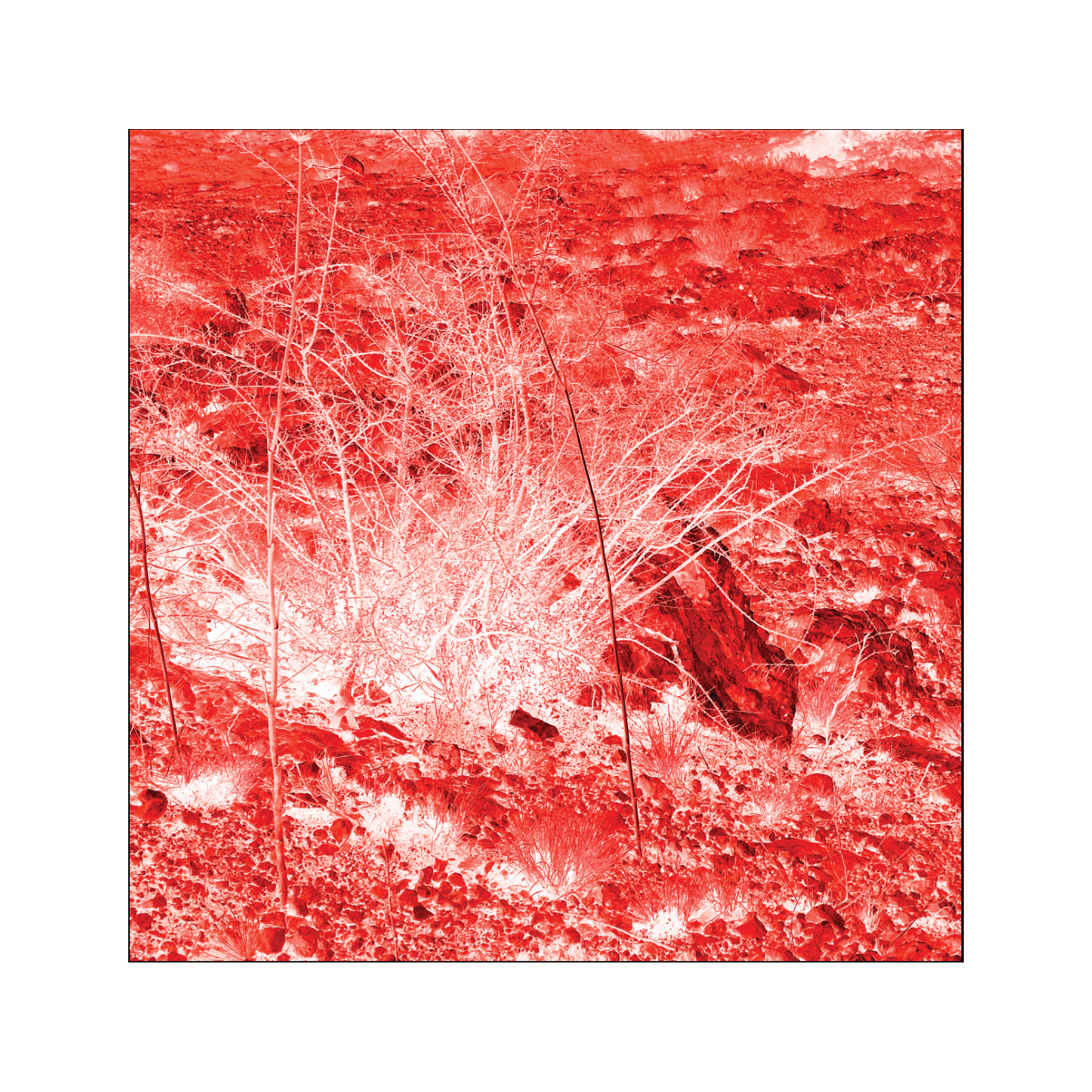 Under the Surface, From the Series Red Landscape