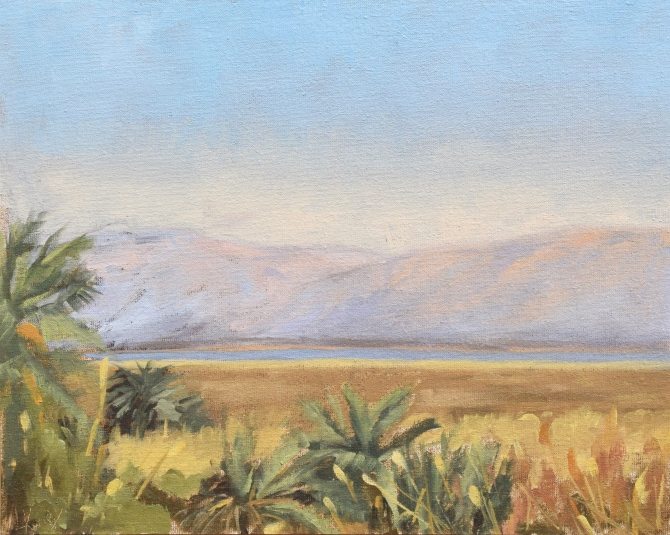 View of the Dead Sea from Ein Plutit Oasis