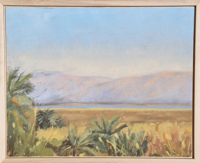 View of the Dead Sea from Ein Plutit Oasis