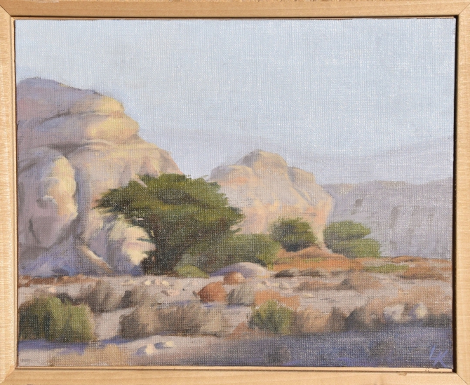 Acacia and Rocks in Wadi Tamar