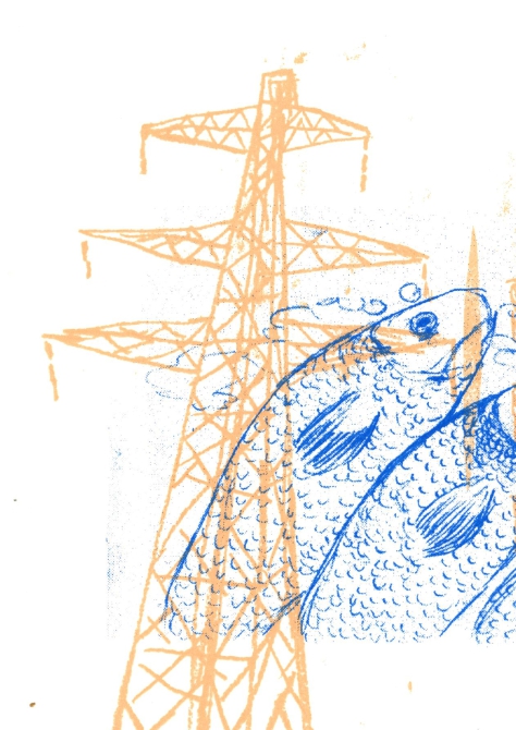 Fish and Candles on Electric Poles