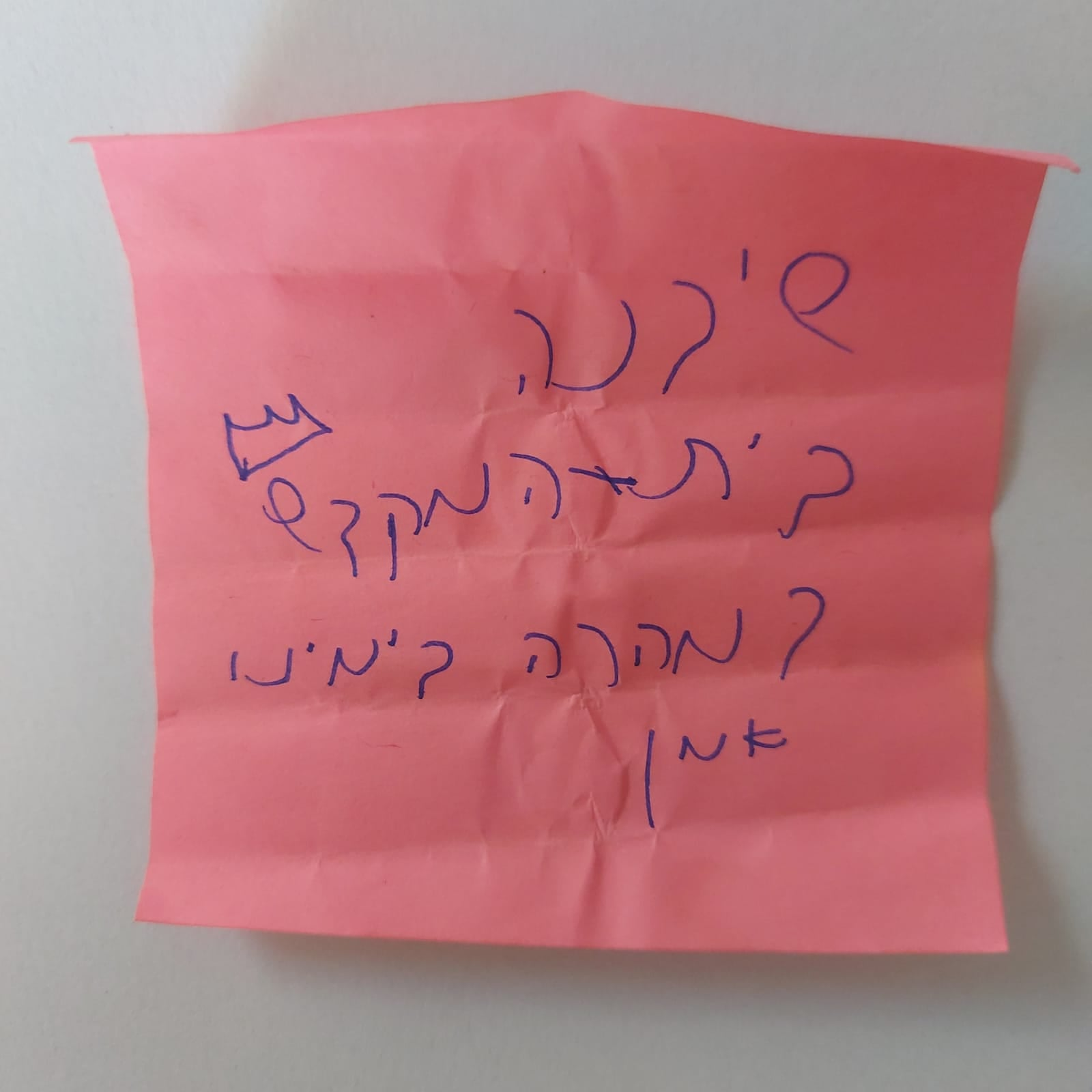 דפנה טלמון