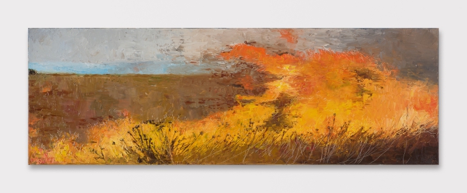 Fire