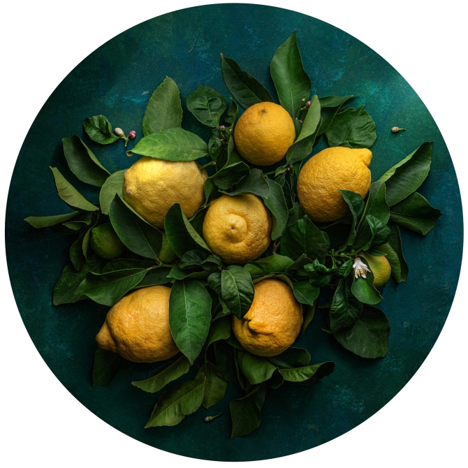 Tondo of Lemons