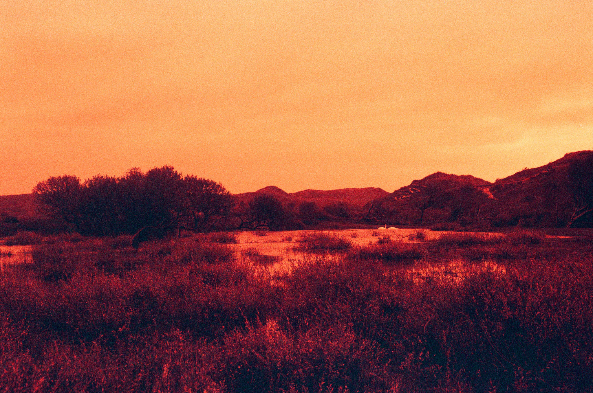 waterland series (1)