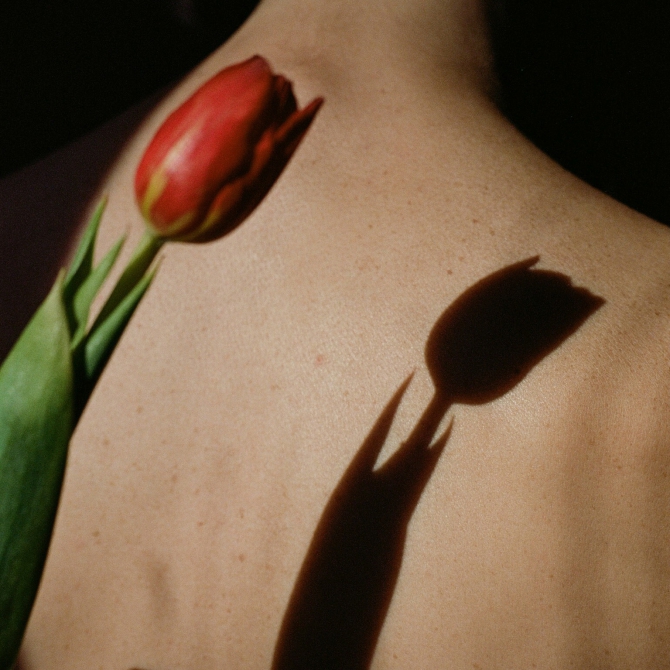 Tulip