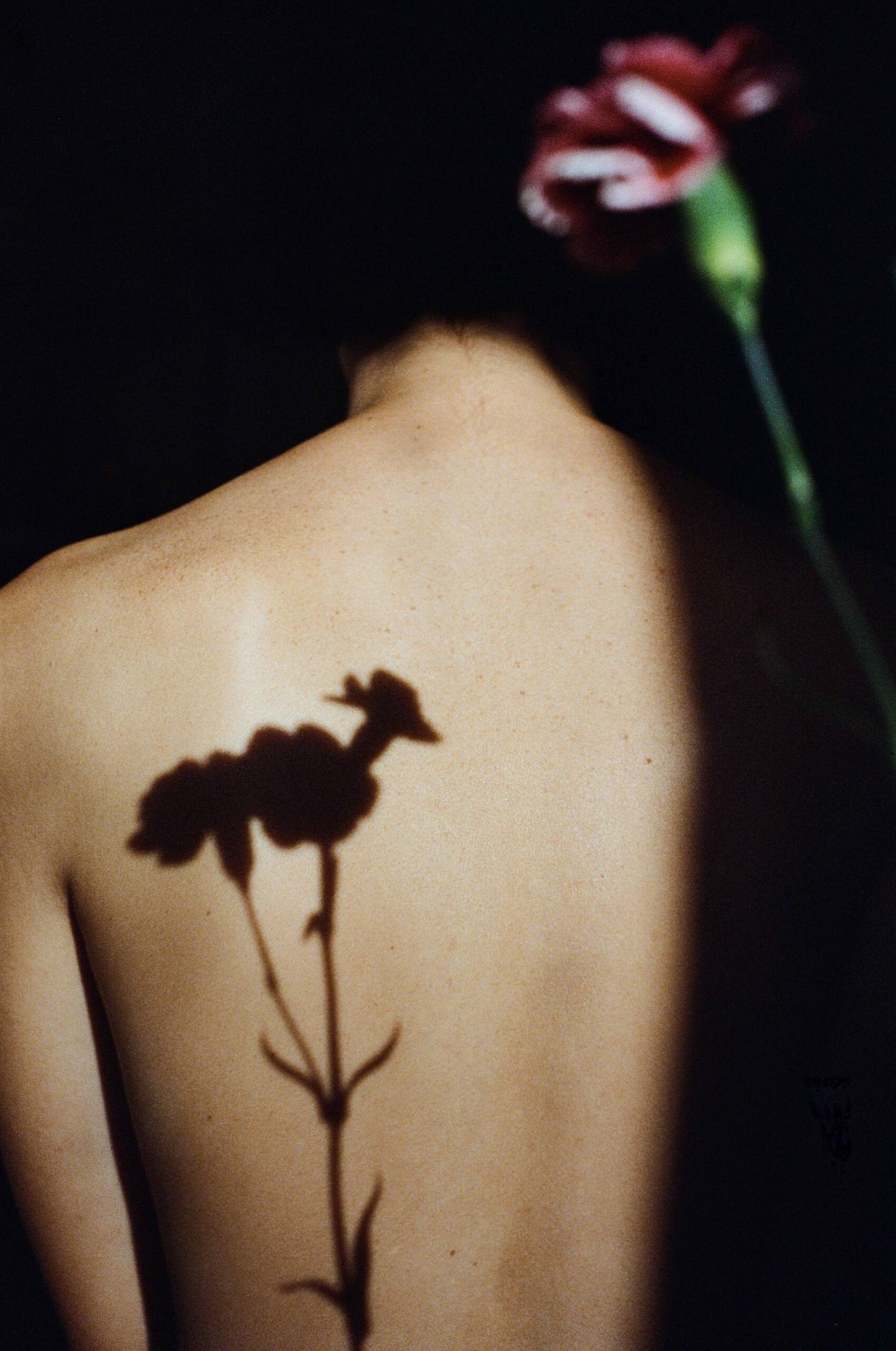 Flower, Back