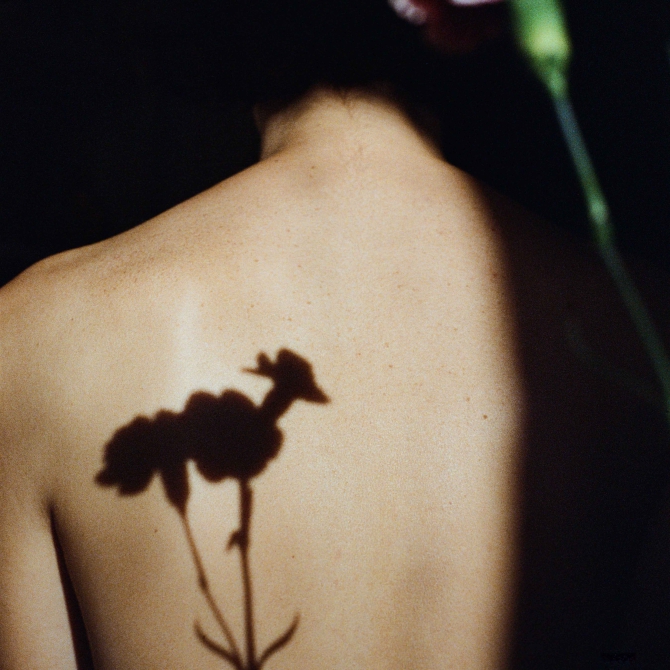 Flower, Back
