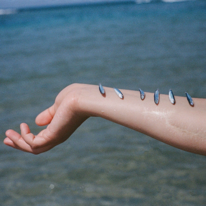 Scar