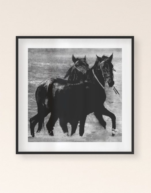 Black Horse
