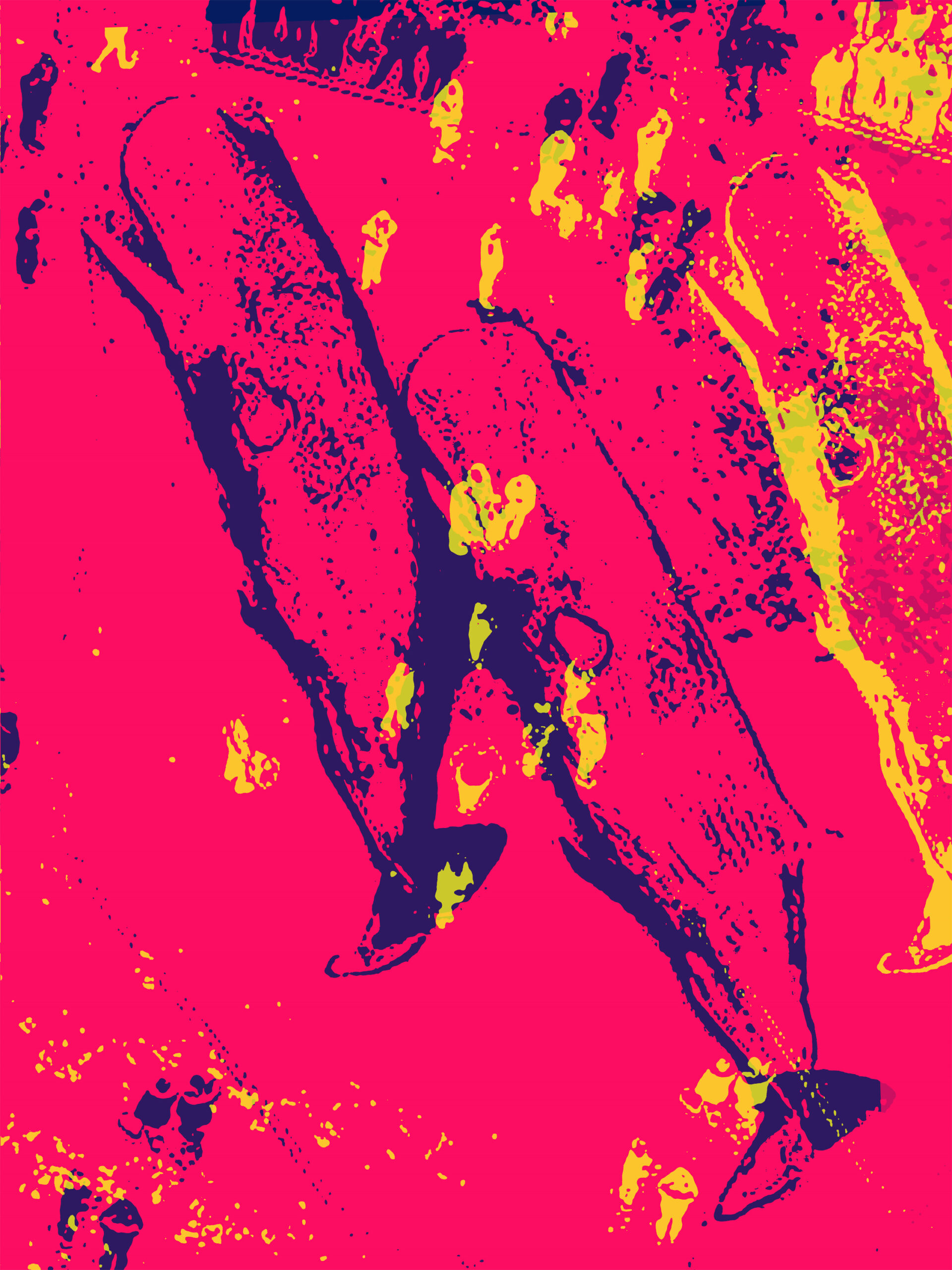 Whales in Red