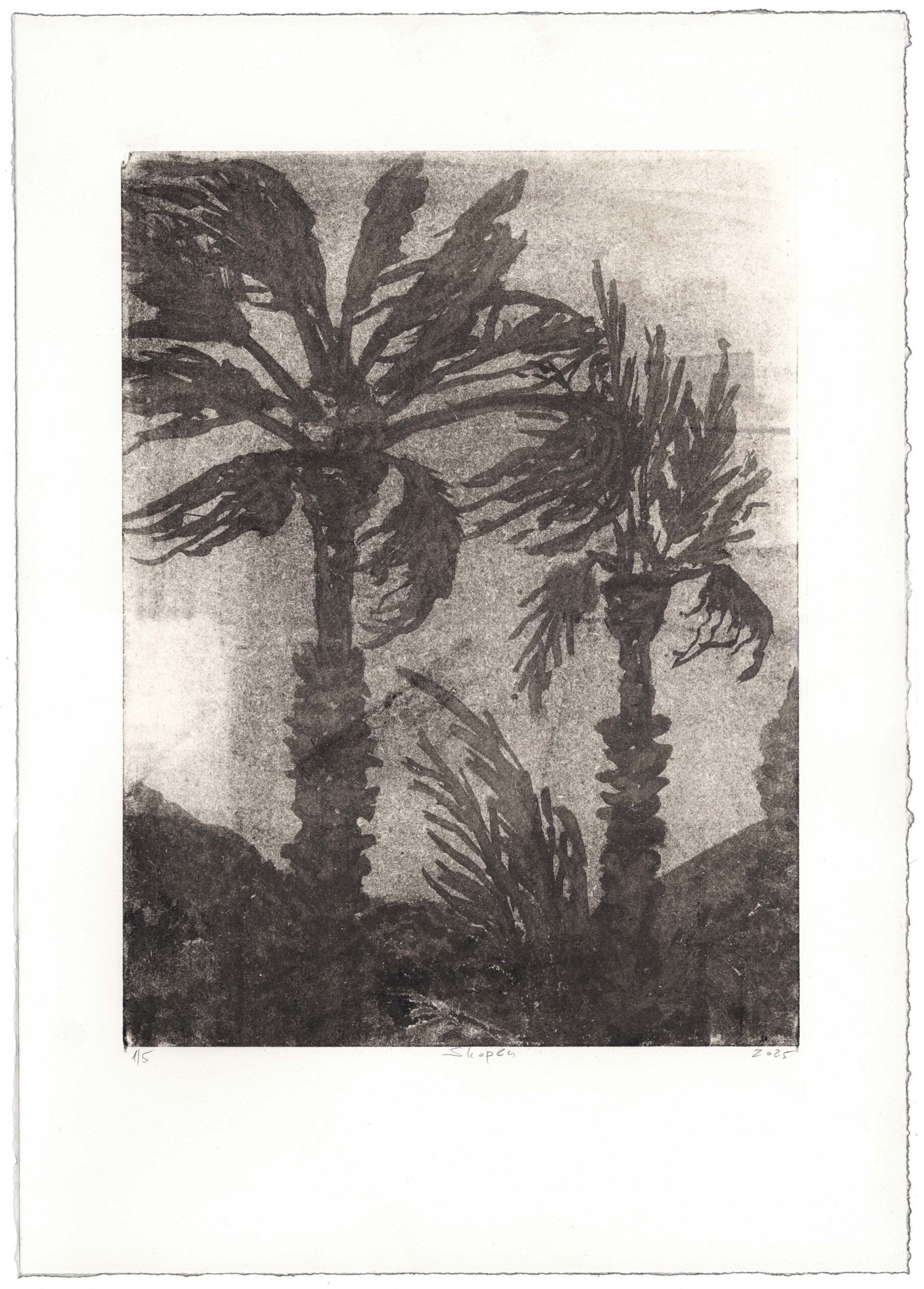 Palms