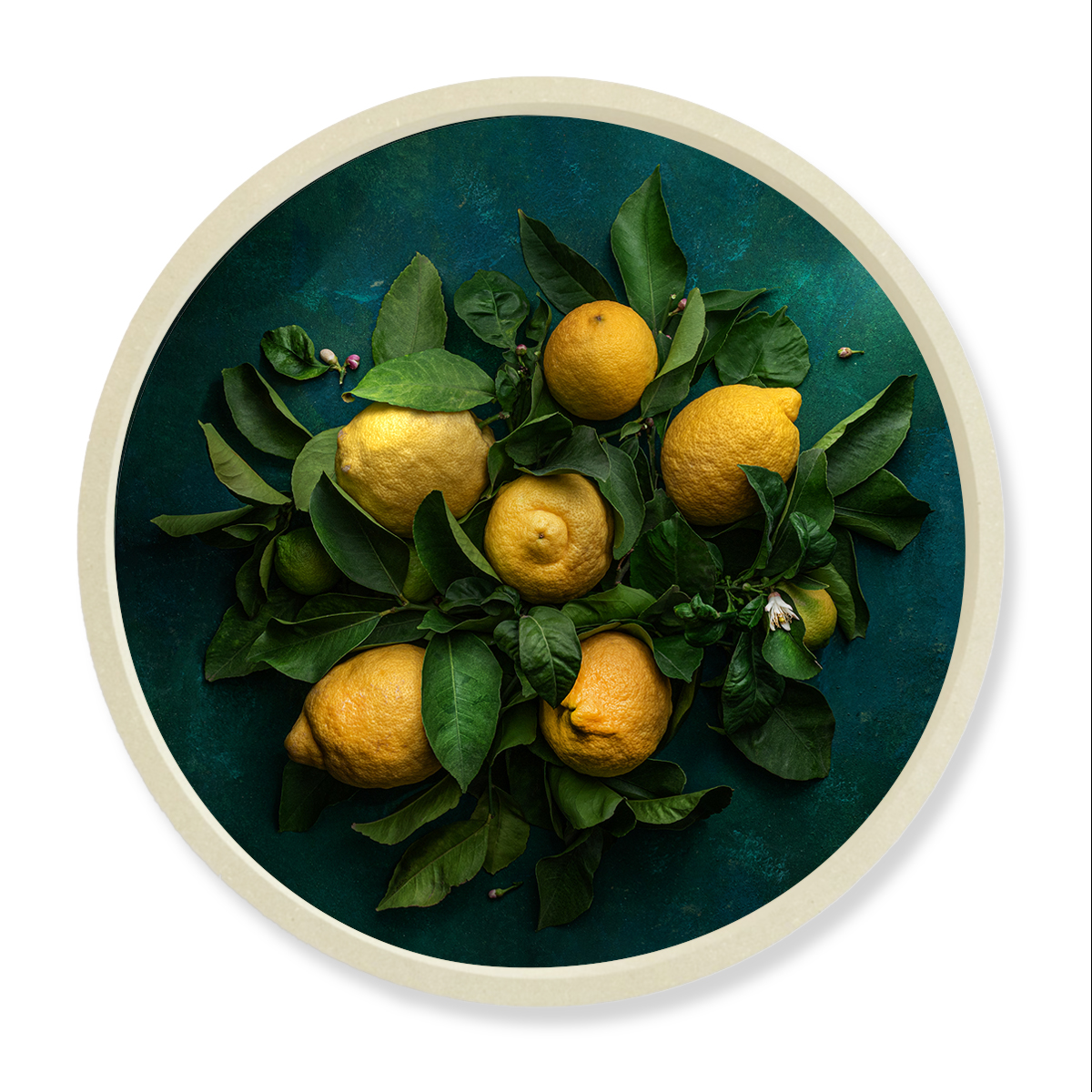 Tondo of Lemons