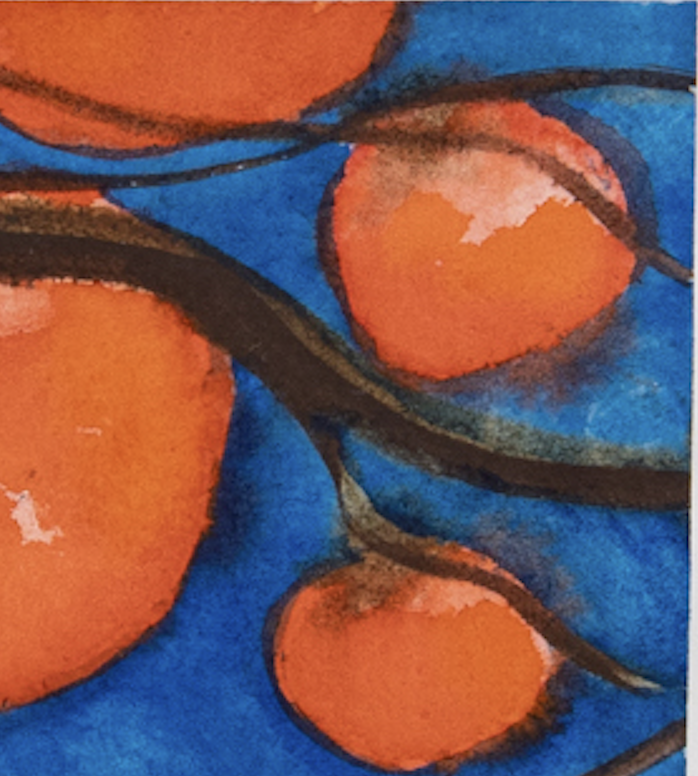 Persimmons #2
