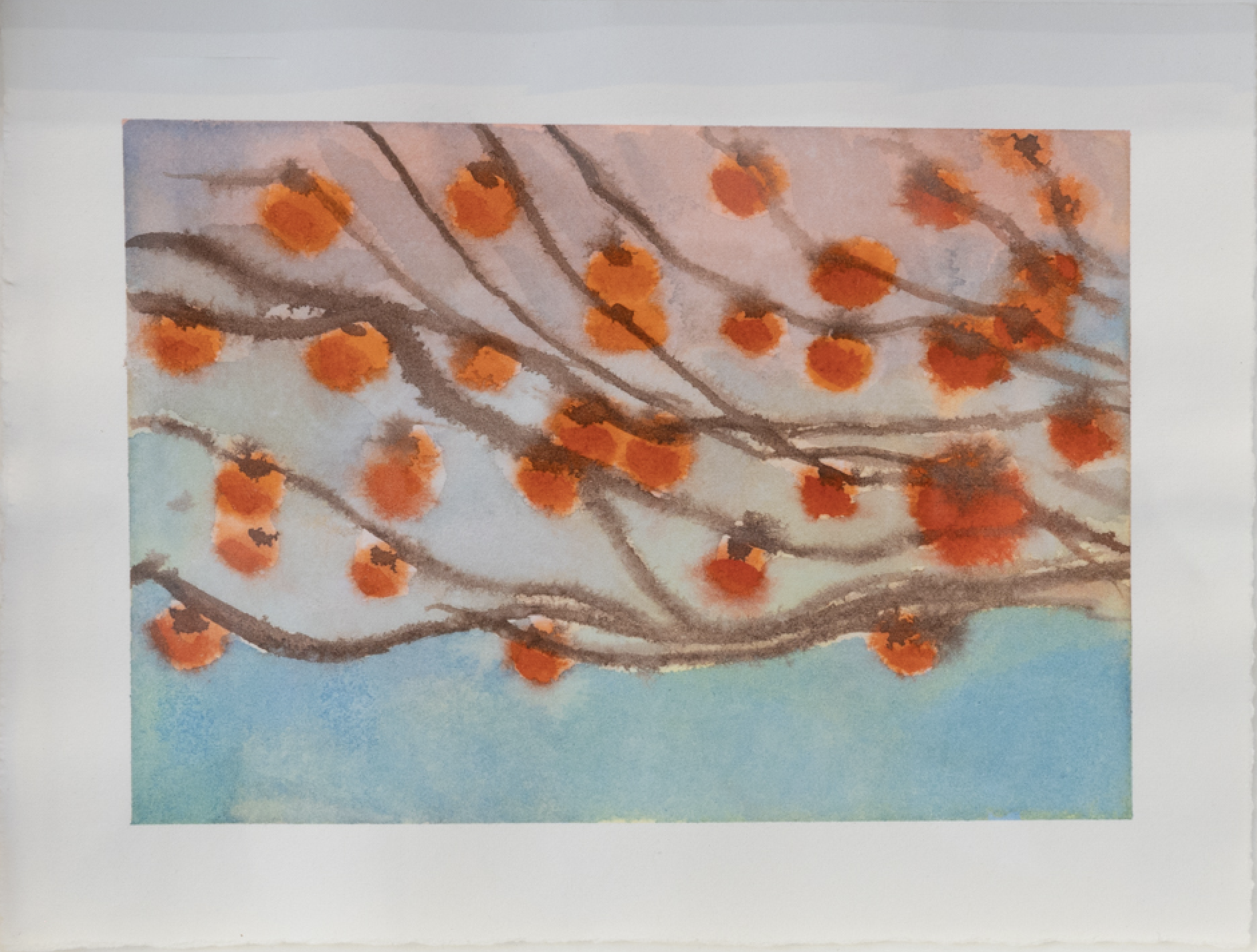Persimmons #3