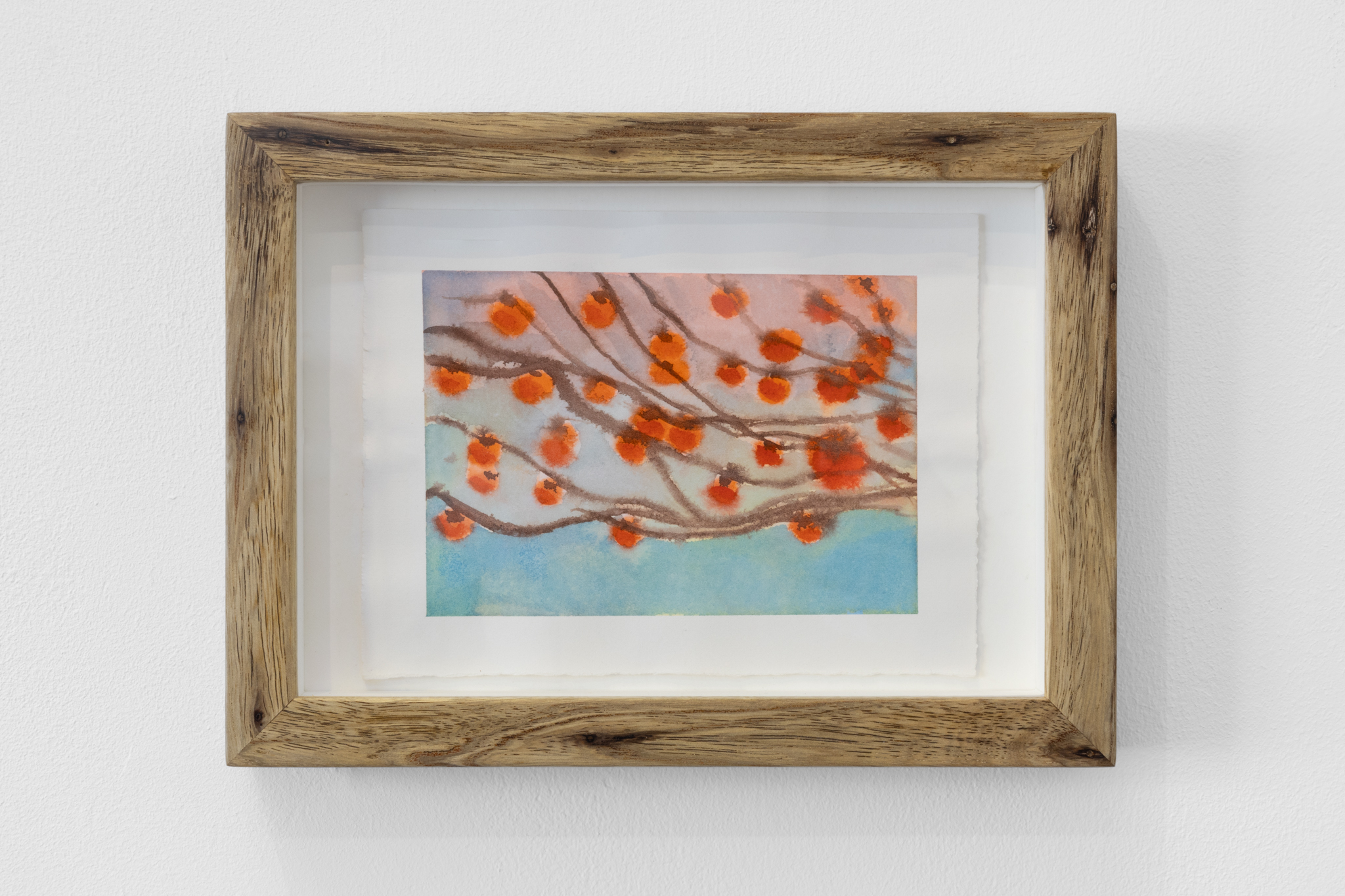 Persimmons #3