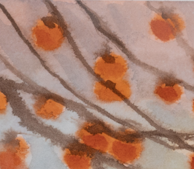Persimmons #3