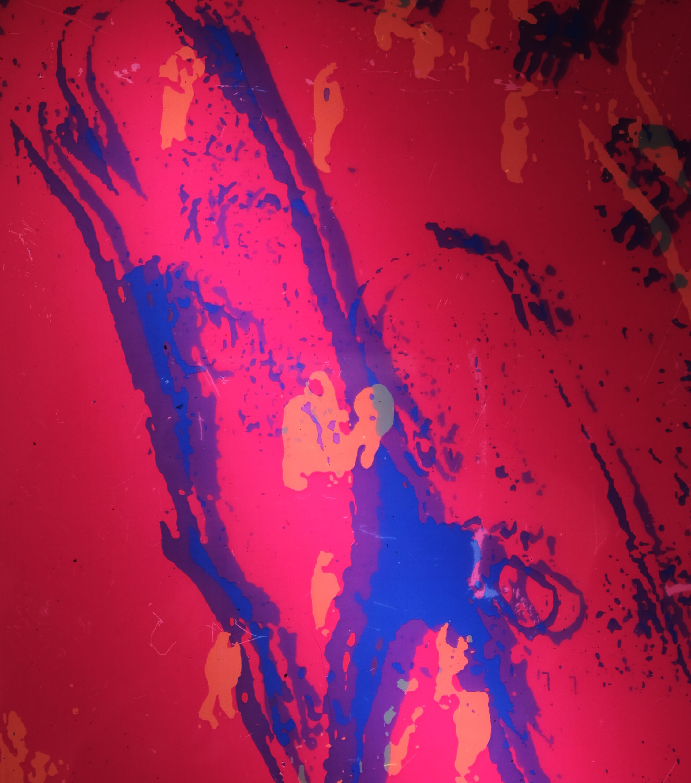 Whales in Red