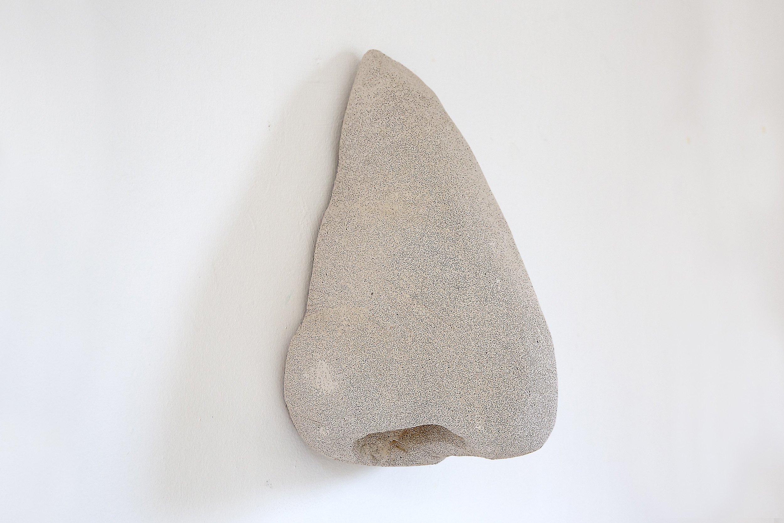 My Jewish Nose