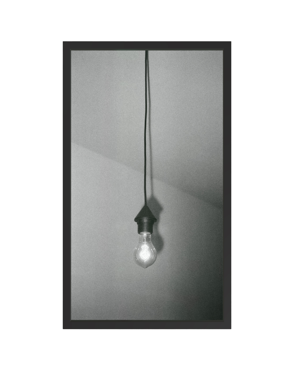Bulb