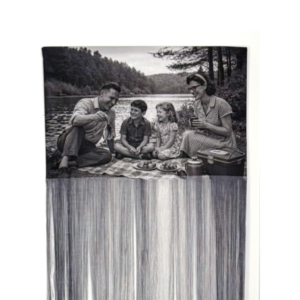 The Whitmore Family Vacation