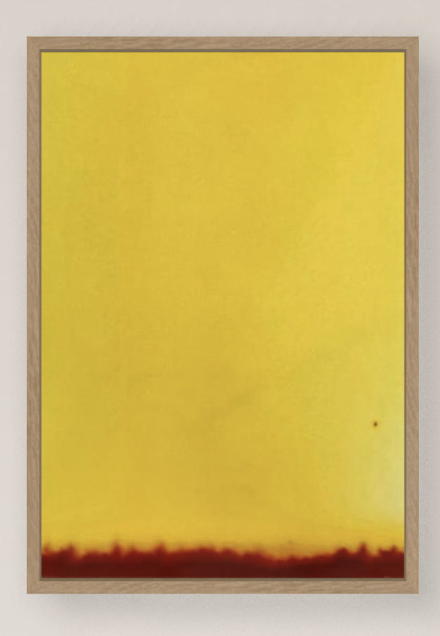 Burnt / Sunrise  (Diptych 1)