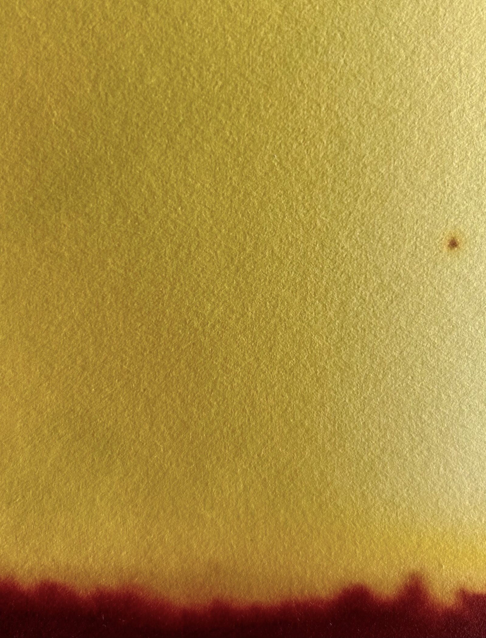 Burnt / Sunrise (Diptych 1)