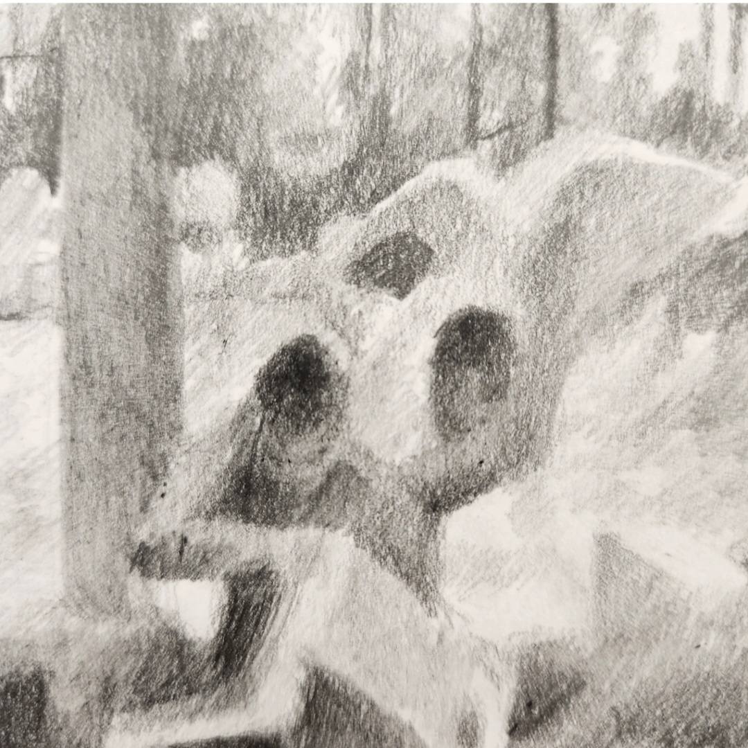 ימית 2000