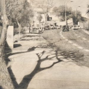 גולומב בשמש